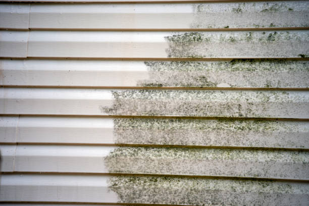 Best Siding for New Construction  in Bell, CA