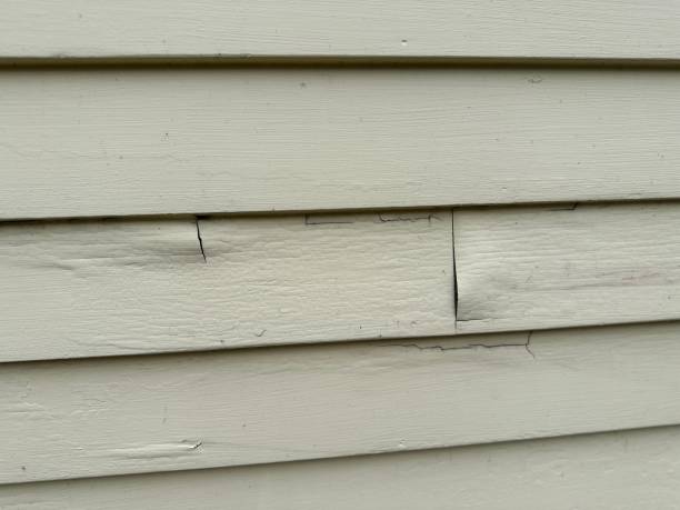 Best Custom Siding Design  in Bell, CA